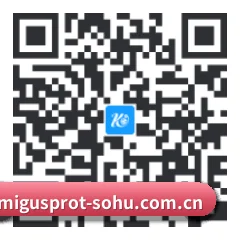 系统版 Android 二维码